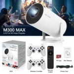 f300 max1